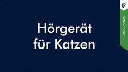 Hörgerät für Katzen | MySecondEar